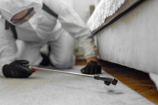 Professional Bed Bug Control technician working in Houston, TX