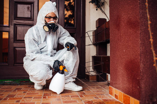 Reliable Bed Bug Control contractor in Houston, TX by Nex Pest Control